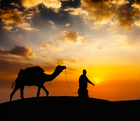 Image showing Cameleer camel driver with camels in desert dunes