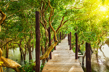 Image showing Wooden bridge in flooded rain forest jungle of mangrove