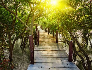 Image showing Wooden bridge in flooded rain forest jungle of mangrove