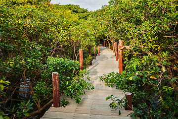 Image showing Wooden bridge in flooded rain forest jungle