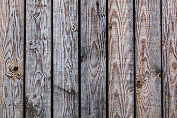 Image showing Planks texture