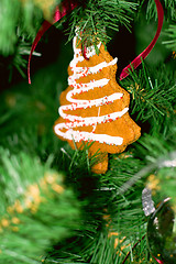 Image showing christmas tree