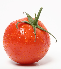 Image showing tomato with water drops on the white background