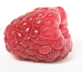 Image showing One rich raspberry fruit on a white background. Macro.