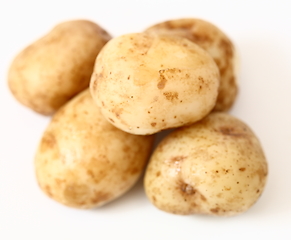 Image showing A lot of raw potato on white background.