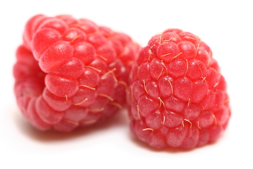 Image showing Two organic ripe raspberries. The close up