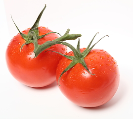 Image showing Fresh organic tomatoes on white background. Top view