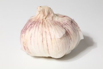 Image showing Fresh garlic isolated on white background