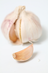 Image showing Fresh garlic isolated on white background