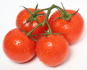 Image showing Fresh organic tomatoes on white background. Top view