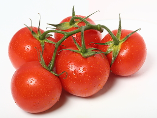 Image showing Fresh organic tomatoes on white background. Top view