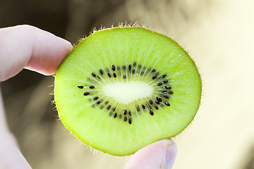 Image showing kiwi fruit