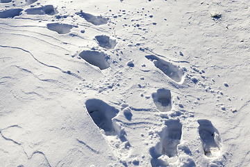 Image showing Snow drifts in winter