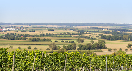 Image showing winegrowing scenery in Hohenlohe