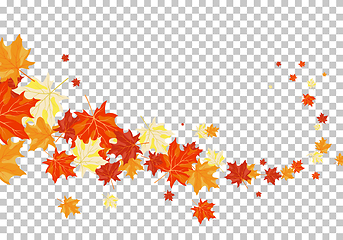 Image showing Falling maple leaves