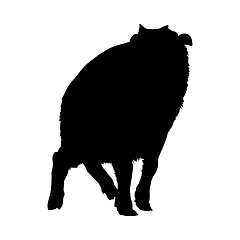 Image showing Bison Silhouette