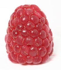 Image showing One rich raspberry fruit on a white background. Macro.