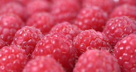 Image showing Fresh and sweet raspberries background