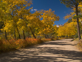 Image showing Autumn Journey