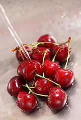 Image showing Washing sweet cherries in metal kitchen sink under water jet close-up