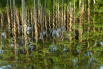 Image showing reflection wave pine