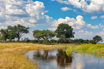 Image showing Namibia, typical African landscape