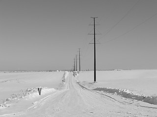 Image showing Empty Rural Winter Road