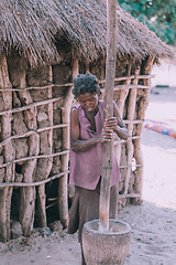 Image showing woman crushing the millet, Africa, Namibia