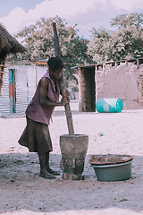 Image showing woman crushing the millet, Africa, Namibia