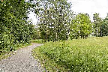 Image showing idyllic park scenery