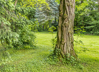 Image showing idyllic park scenery