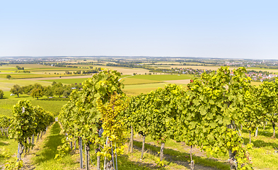 Image showing winegrowing scenery in Hohenlohe