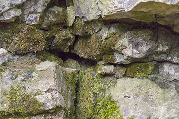 Image showing mossy rock formation