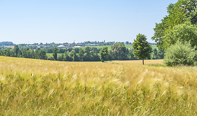 Image showing rural scenery in Hohenlohe