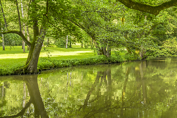 Image showing idyllic park scenery