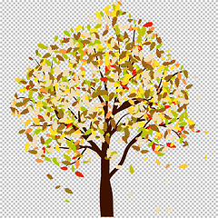 Image showing Autumn oak