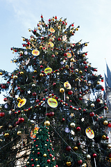 Image showing Christmas tree on Old Town Square in Prague