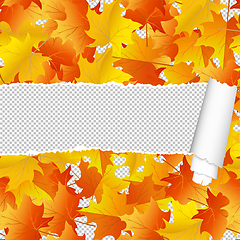 Image showing Autumn maple seamless pattern with ripped stripe