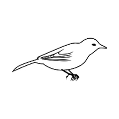 Image showing Sketch of Bird