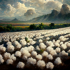 Image showing Cotton fields ready for harvesting, snow mountains and clouds.