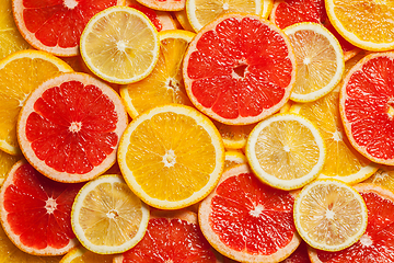 Image showing Colorful citrus fruit slices