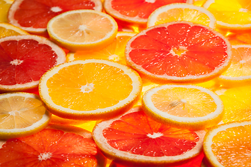 Image showing Colorful citrus fruit slices