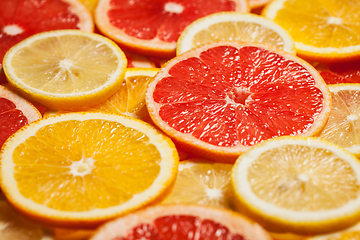 Image showing Colorful citrus fruit slices