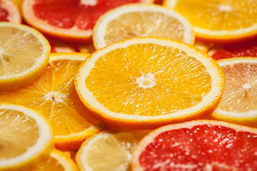 Image showing Colorful citrus fruit slices