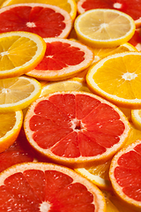 Image showing Colorful citrus fruit slices