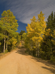 Image showing Fall Begins