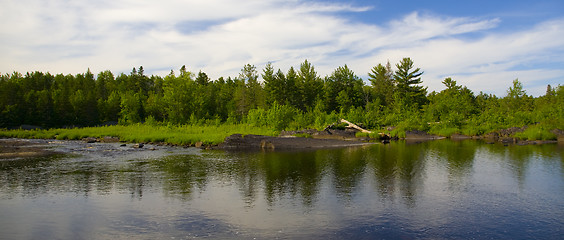 Image showing Forest Across River