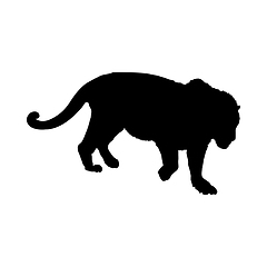 Image showing Tiger Silhouette