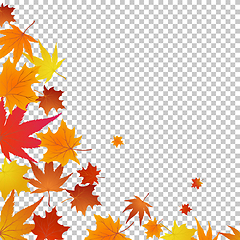 Image showing Autumn maples