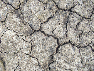 Image showing fissured soil background